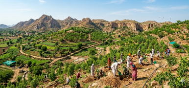 Green Revolution — Aravalli Hills