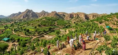 Green Revolution — Aravalli Hills